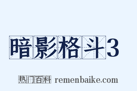 暗影格斗3是什么意思的图片